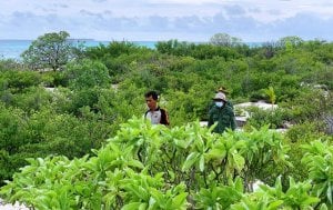 Pulau Ini Diduga Dijual Rp900 Juta, Terbongkar saat Petugas Temukan Berkas Jual Beli Tanah