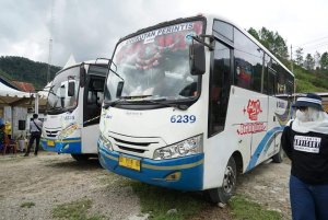 Angkutan Perintis DAMRI Juga Layani Trayek Malangke – Baebunta Selatan