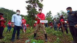 Bupati Gowa Apresiasi Kegiatan Penanaman Pohon yang Diinisiasi PDIP