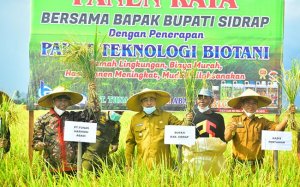 Dollah Mando Pimpin Panen Perdana Paket Teknologi Biotani