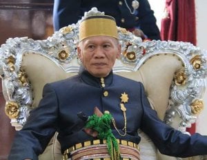 Datu Luwu XL, Andi Maradang Mackulau, Perjuangan Demokrasi dari Istana