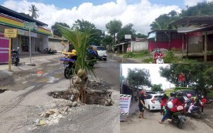 Jalanan Rusak Tak Kunjung Diperbaiki, Warga Tanam Kelapa, Mahasiswa Demo