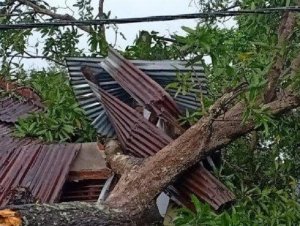 Angin Puting Beliung Terjang Kabupaten Takalar, 7 Rumah Warga Rusak Parah