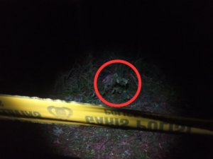 Mayat dalam Karung di Gowa, Polisi Masih Mendalami