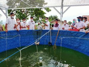 Terima Bantuan Budi Daya Ikan, Pimpinan Ponpes Darul Istiqamah Lappae: Terima Kasih Pak Bupati