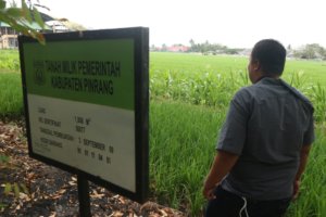 Pengelolaan 43 Hektar Sawah Pemkab Disorot, Kadis Pertanian: 32 Petani yang Garap