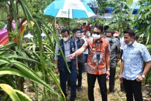 Bupati ASA Serahkan Bantuan Pengembangan Eduwisata ke Petani Buah Naga