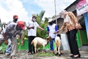 Desa Lantang Tallang Terima 46 Ekor Kambing Program Family Farming