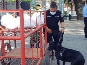 Cegah Masuk Narkoba, Rutan Makassar Dijaga Anjing Pelacak