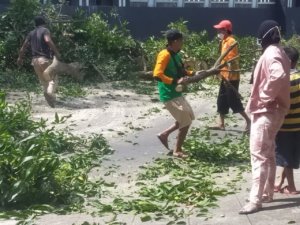 Pemkot Bergerak Bersihkan Sampah Ranting Pohon Tumbang dan Pemangkasan