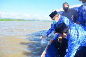 Tingkatkan Kesejahteraan Nelayan, Bupati Sidrap Pimpin Restocking Ikan