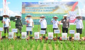 Dollah Mando Hadiri Penyemprotan Perdana POC Phonska OCA Subsidi, Pertama di Indonesia Timur