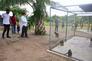 Wisata Kebun Binatang Hadir di Kabupaten Sidrap