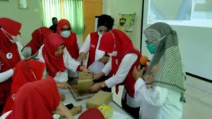 Sehari Pasca Dilantik, Perempuan Indonesia Maju Sulsel Langsung Studi Banding Penanaman Hidroponik