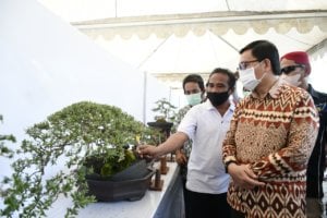 Pesona Bonsai di Bumi Lamaranginang Layak Bersaing Ditingkat Nasional
