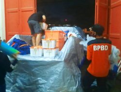 Plt Gubernur Sulsel Salurkan Bantuan Untuk Dua Titik Kebakaran di Bantaeng
