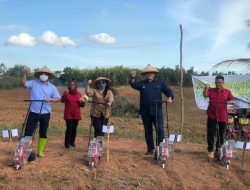 Di Hadapan Dirut RNI dan Asdep Industri Pangan BUMN, Irman YL: BULS Siap Jadi Pusat Pembibitan Sapi di Indonesia
