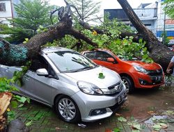 Pohon Tumbang di RS Labuang Baji Makassar, Timpa Tiga Mobil