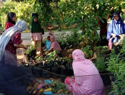 Dorong Kemandirian Masyarakat, PT Vale Kembangkan Program UKBM Herbal