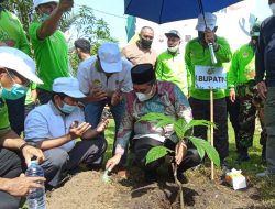 Hijaukan Maros, LDII Gandeng Pemkab Maros dan BPTH Sulsel Lakukan Penanaman 2000 Bibit Pohon