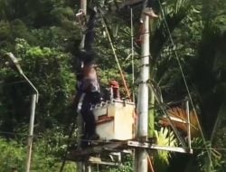 Dramatis! Petugas PLN Bergelantungan dan Nyaris Jatuh dari Trafo Listrik Usai Tersengat