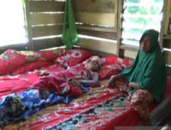 Puting Beliung Rusak Puluhan Rumah di Deliserdang, Seorang Wanita Terluka akibat Tertimpa Pohon