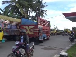 Imbas Kelangkaan, Sopir Truk Lintas Daerah Terpaksa Menginap di Kampung Orang Demi Solar