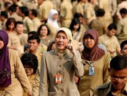 Presiden Jokowi Naikkan Tunjangan PNS Jabatan Fungsional Pranata Humas