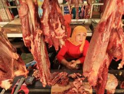 Moeldoko: ’Perlu Ada Negara Alternatif Impor Selain Australia yang Mampu Memenuhi Permintaan Daging Sapi