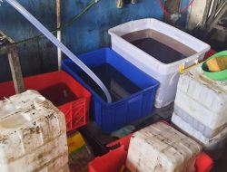 Sita 2.300 Liter Minyak Goreng Kemasan Ulang, Polisi Beber Fakta Ini