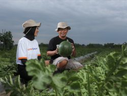 Peran Generasi Milenial Bantu Wujudkan Pertanian Modern