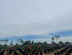 PTPN XIV: Perkebunan dan Pabrik Kelapa Sawit Enrekang Sudah Sesuai Aturan