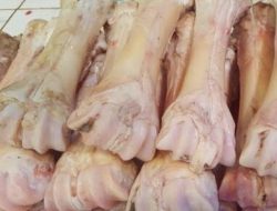Sentra Industri Akan Olah Tulang Daging Jadi Pakan Ternak