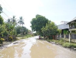 Gubernur Sulsel Tinjau Langsung Kondisi Jalan Ruas Pekkae – Takkalala: Bersama Masyarakat Kita Selesaikan