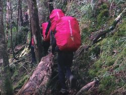 Tim Jejak Natura Sukses Eksplorasi Puncak Tertinggi Sulawesi Selatan, Gunung Latimojong