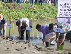 Hari Lingkungan Hidup Sedunia, Sungai Nipa-nipa Ditanami 1.000 Bibit Mangrove