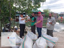 DKP Sulsel Salurkan Bantuan Benur Udang di Maros, Prioritas Gubernur Andi Sudirman Kembalikan Kejayaan Udang Sitto