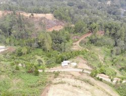 Pengerusakan Kawasan Hutan Lindung, WALHI Sulsel: Penegakan Hukum Tajam ke Bawah Tumpul ke Atas
