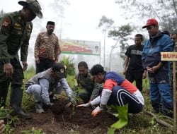 Kopi Manipi Go Internasional, Bupati ASA Terjun Langsung Tanam Perdana 1000 Hektare Bibit