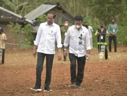 Dampingi Jokowi Tanam Perdana Kelapa Genjah, SYL: Kita Harus Manfaatkan Lahan yang Kurang Produktif