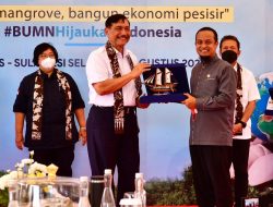 Program Prioritas Gubernur, DKP Sulsel Telah Tanam 1,7 Juta Batang Mangrove