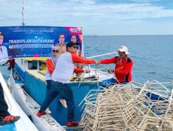 DKP Sulsel Rehabilitasi Ekosistem di 2 Pulau Kecil Takalar