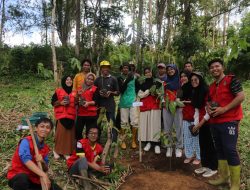 KKNT Gelombang 108 Perhutanan Sosial Bone Posko 4 Siapkan 1.000 Bibit Produktif untuk Desa Rappa