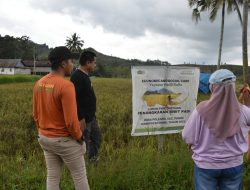 Yayasan Hadji Kalla Dorong Peningkatan Sektor Pangan dan Pertanian untuk Kesejahteraan Masyarakat Desa