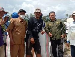 Dari 7 Ton Meningkat Mencapai 9 Ton, Bantuan Mandiri Benih oleh Gubernur Sulsel Tingkatkan Hasil Pertanian di Sidrap