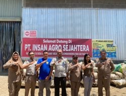 Kunjungi Pabrik PT IAS, Karantina Pertanian Makassar Pastikan Ekspor Porang Dari Sulsel Sustainable