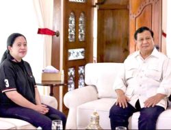 Puan Maharani Ajak Prabowo sebagai Cawapres? Desmond: Pihaknya Keberatan