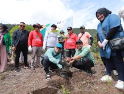 PT Vale Dukung Program Konservasi Pesisir Danau Towuti, Serahkan Ratusan Bibit Pohon Tembeuwa