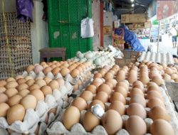Harga Telur di Sulsel Melonjak, Ternyata Diakibatkan Bansos