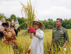 Pemulihan Berdampak Positif, Ekonomi Sulawesi Selatan Tumbuh 5,67 Persen Triwulan III 2022